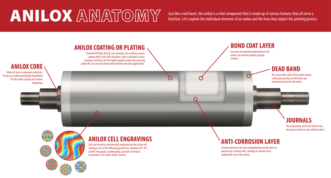 Anilox 101 Anatomy of an Anilox Roll